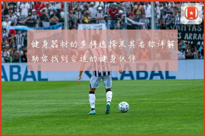 健身器材的多样选择及其名称详解助你找到合适的健身伙伴