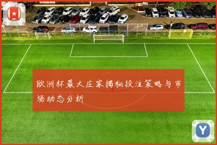 欧洲杯最大庄家揭秘投注策略与市场动态分析