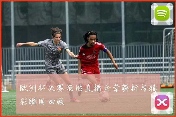 欧洲杯决赛场地直播全景解析与精彩瞬间回顾