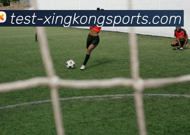 星空体育APP 封面图